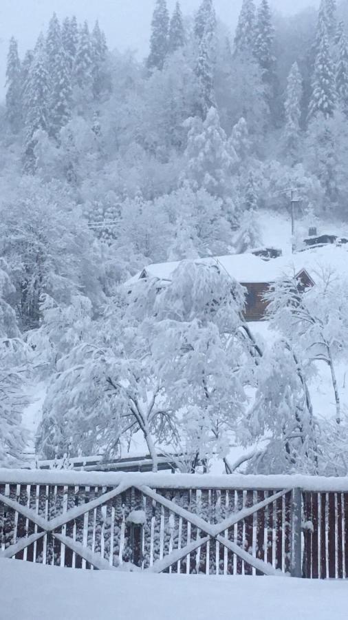 Privatna Sadiba Chalet ออริยาฟชิค ภายนอก รูปภาพ